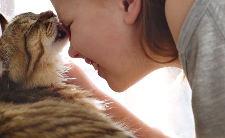 “Baby talk” con mascotas: por qué hablarles como bebés puede tener efectos positivos. La imagen muestra a una gata y su humana.
