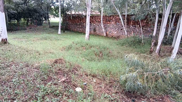 Zona donde existia una laguna en el predio de Abraham Cué lugar donde eran torturados los aprendidos durante la represión de la Pascua Dolorosa