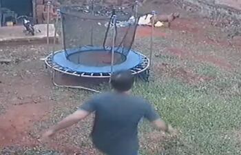 Dos hombres fueron detenidos por estar implicados en la muerte de un perro de la raza Pitbull.