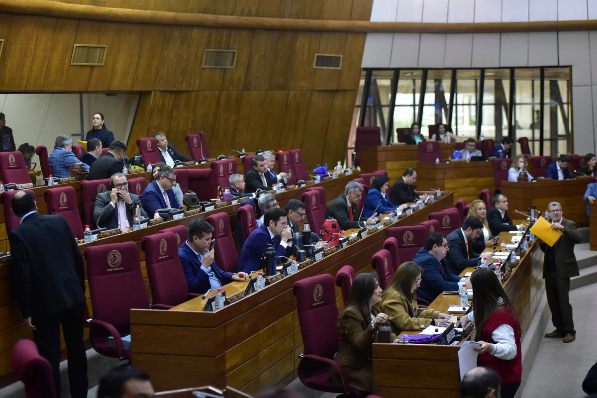 Raboneros: Diputados solo sesionará el martes y recula con “castigos”
