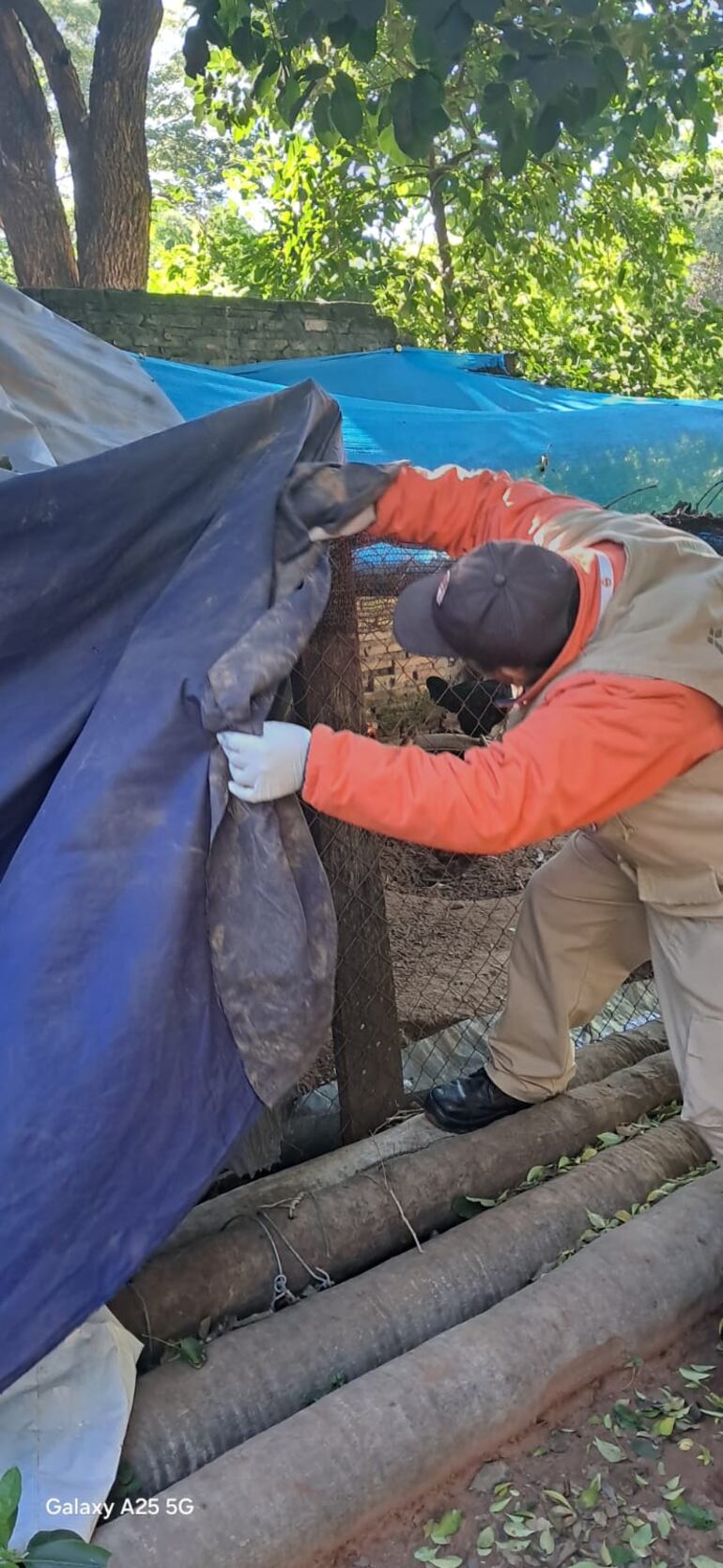 Refuerzan la prevención contra el dengue ante casos sospechosos en Caacupé.