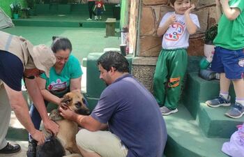 Vacunación antirrábica Operativo Caacupé