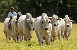 Sudameris se afianza como el banco rural, esta vez lo hizo en Guairá