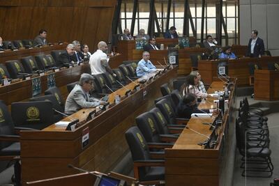 Hace varias semanas se aprueban reprogramaciones y ampliaciones presupuestarias en Diputados en pleno año electoral.