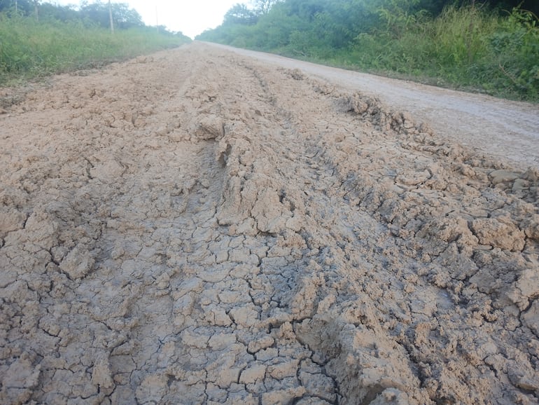 Así se encuentra gran parte del camino Olimpo – Toro Pampa.