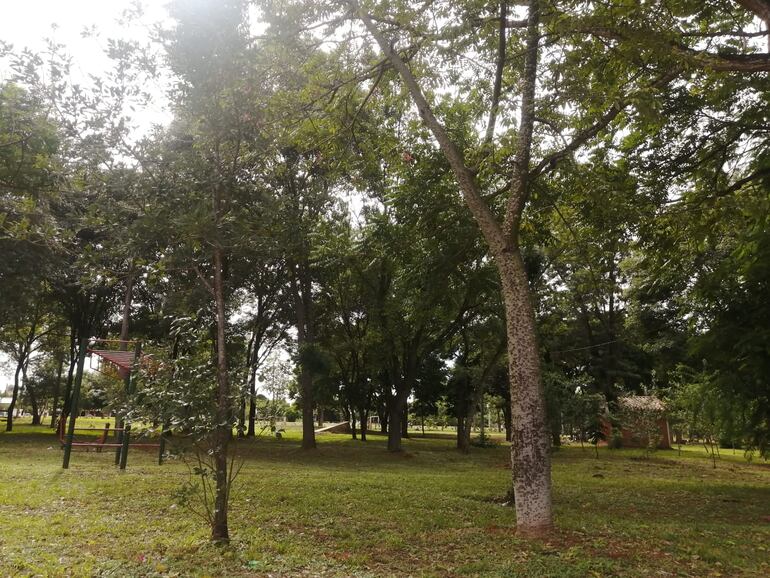 Eusebio Ayala: denuncian que intendente quiere construir en una plaza pública