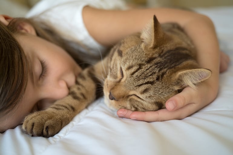 Niña duerme con un gato.