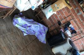 La joven de 25 años murió prácticamente en el acto.