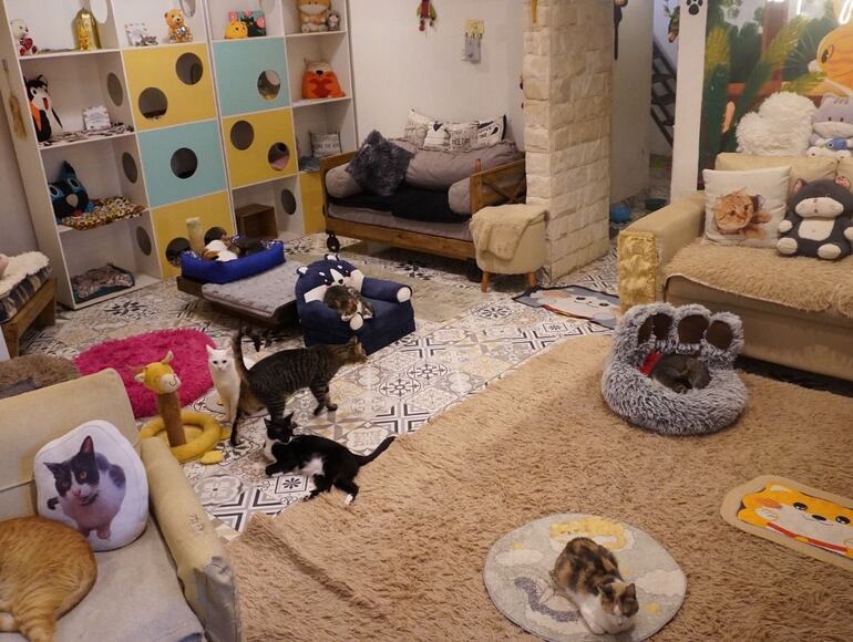 /pf/resources/images/abc-placeholder.png?d=2389