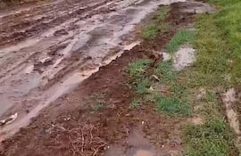 Camino rural en malas condiciones, con charcos y surcos, rodeado de pasto verde y arbustos en un día nublado.