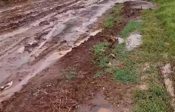 Camino rural en malas condiciones, con charcos y surcos, rodeado de pasto verde y arbustos en un día nublado.
