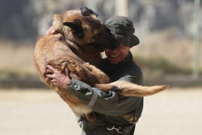 Un instructor entrena con un perro durante una jornada de instrucción en el Centro de Adiestramiento Canes de la Policía Boliviana Chocolate.