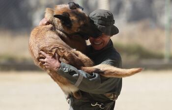 Un instructor entrena con un perro durante una jornada de instrucción en el Centro de Adiestramiento Canes de la Policía Boliviana Chocolate.