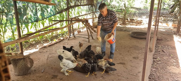El programa productivo de la EBY contempla también la adquisición de aves para la producción.
