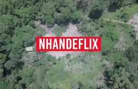 Vista aérea de un denso bosque con el texto 'NHANDEFLEX' en el centro, rodeado de abundante vegetación.