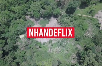 Vista aérea de un denso bosque con el texto 'NHANDEFLEX' en el centro, rodeado de abundante vegetación.