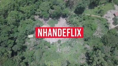 Vista aérea de un denso bosque con el texto 'NHANDEFLEX' en el centro, rodeado de abundante vegetación.