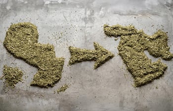 Sobra yerba mate, faltan mercados, se apunta a Medio Oriente