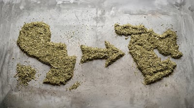 Sobra yerba mate, faltan mercados, se apunta a Medio Oriente
