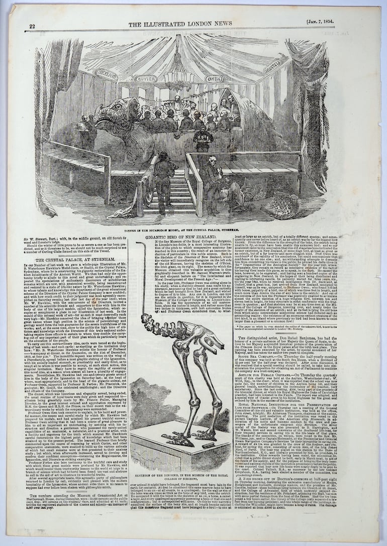 Página 22 de "The Illustrated London News", volumen 24, número 662, 7 de enero de 1854.