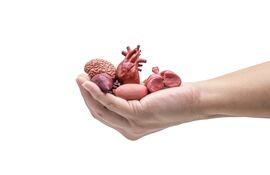 Donación de órganos.