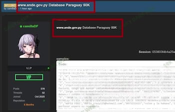 Texto visible que menciona la filtración de datos de la ANDE junto a enlaces y nombres de usuarios en un fondo blanco.