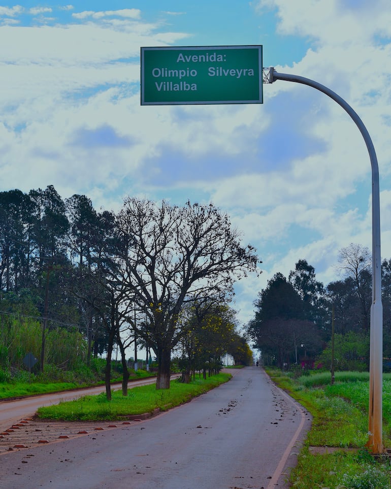 Avenida desierta flanqueada por lapachos amarillos, con cartel de 'Avenida: Olimpio Silveyra Villalba'. Clima claro con algunas nubes.