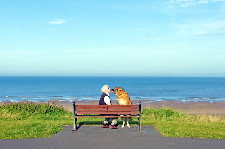 La alegría de pasar el tiempo con un perro.