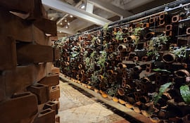 "Terraria" es el proyecto expositivo desarrollado en la Fundación Texo en el marco de #Selección5. Este jueves Raúl Rivarola hablará sobre los vínculos entre el arte y la naturaleza en el ciclo Contar el Arte.