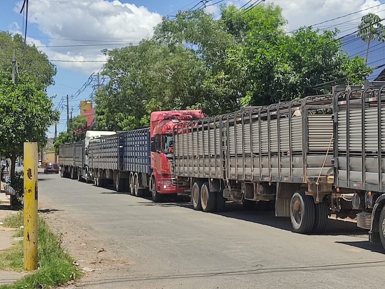 Fila de camiones en Tablada Nueva.
