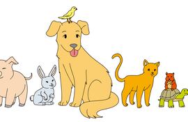 4 de octubre, Día Mundial de los Animales.