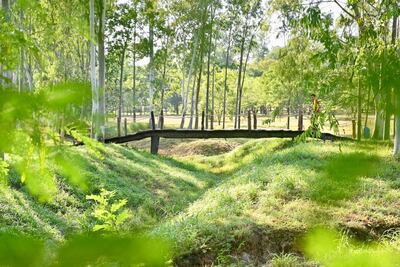 Está prohibido fumar en parques Ñu Guasu y Guasu Metropolitano, según avisa el MOPC.