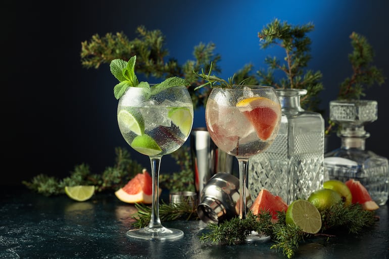 Gin tonic, imagen ilustrativa.