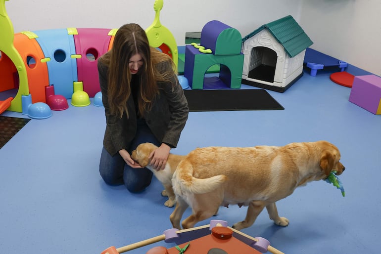 ¡Pura ternura! La infanta Sofía con dos perritos del Centro de Cría y Adiestramiento de la Fundación ONCE del Perro Guía. (EFE/ J.J. Guillén POOL)

