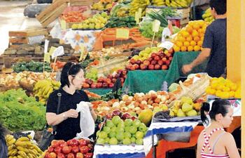Existen políticas que promueven la diversificación productiva, afirman.