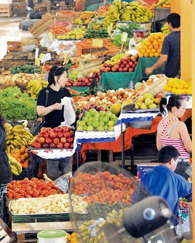 Existen políticas que promueven la diversificación productiva, afirman.