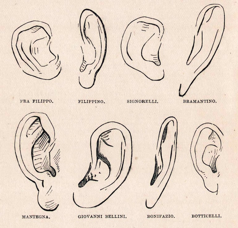 Dibujos de Morelli sobre modelos de orejas de diferentes pintores