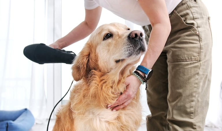 Concepto de grooming en casa.