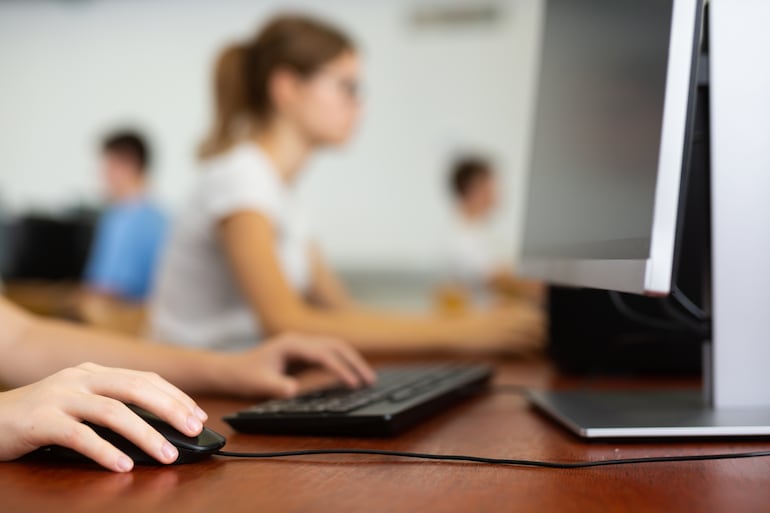 # La alfabetización digital como nuevo derecho humano.