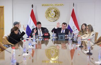 Se instaló la comisión especial contra las telefónicas en la Cámara de Senadores.