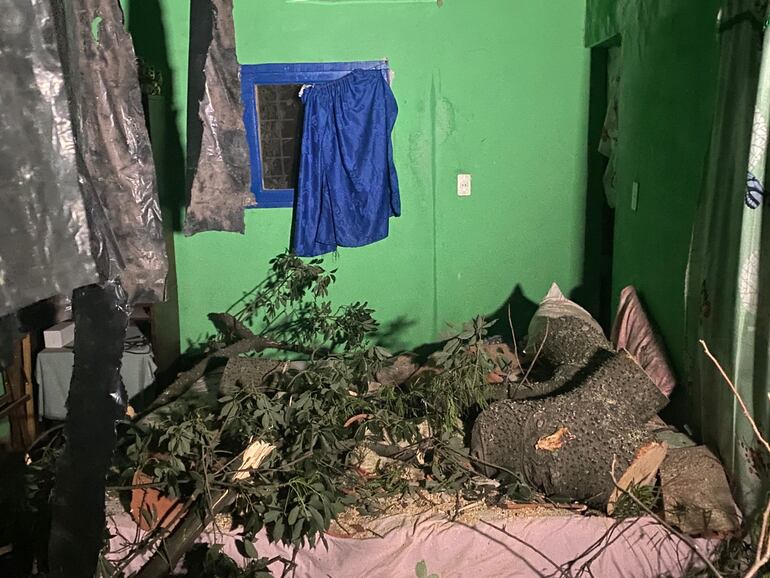 Ráfagas de viento derriban ramas de un árbol sobre una vivienda en el barrio Roberto L. Petit