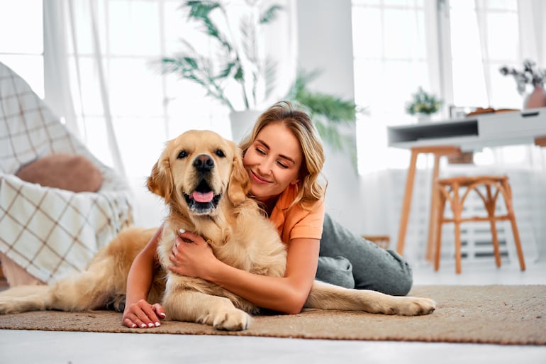 Perro de la raza golden retriever.