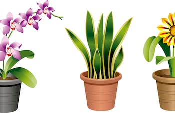 ¡A lograr un aprendizaje efectivo y duradero!