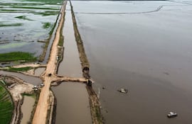 Cultivos de arroz, inundados