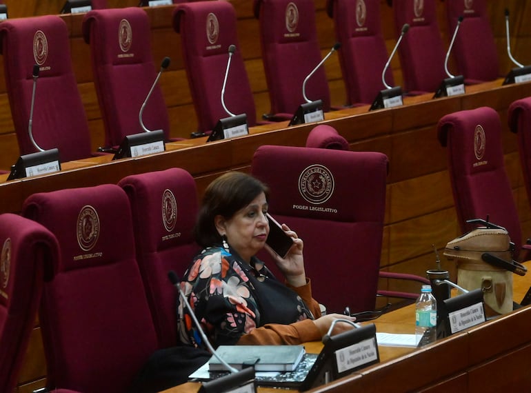 Esperanza Martínez de Portillo sentada con blusa floral y abrigo marrón, hablando por teléfono en recinto legislativo, sillas vacías detrás.