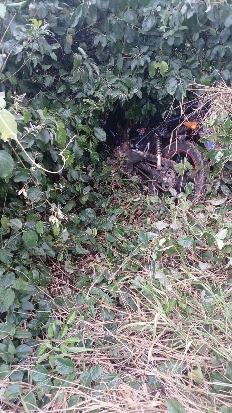 Entorno natural denso con abundante vegetación. Motocicleta negra parcialmente oculta en la maleza.