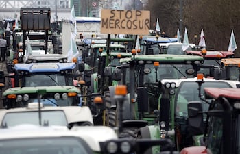Protestas contra el acuerdo Mercosur-UE en Estrasburgo, Francia.
