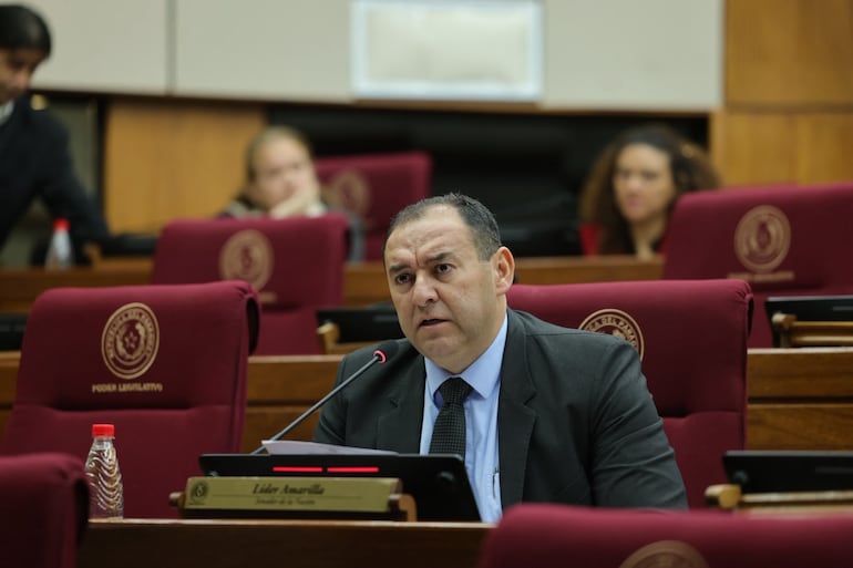 Reunión de la Comisión de Asuntos Constitucionales del Senado. Fuente: Prensa Senado.