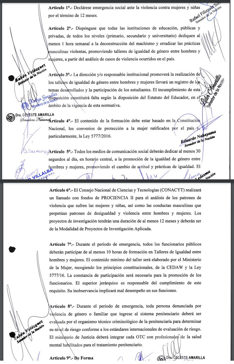 Proyecto de ley sobre Emergencia por Feminicidios.