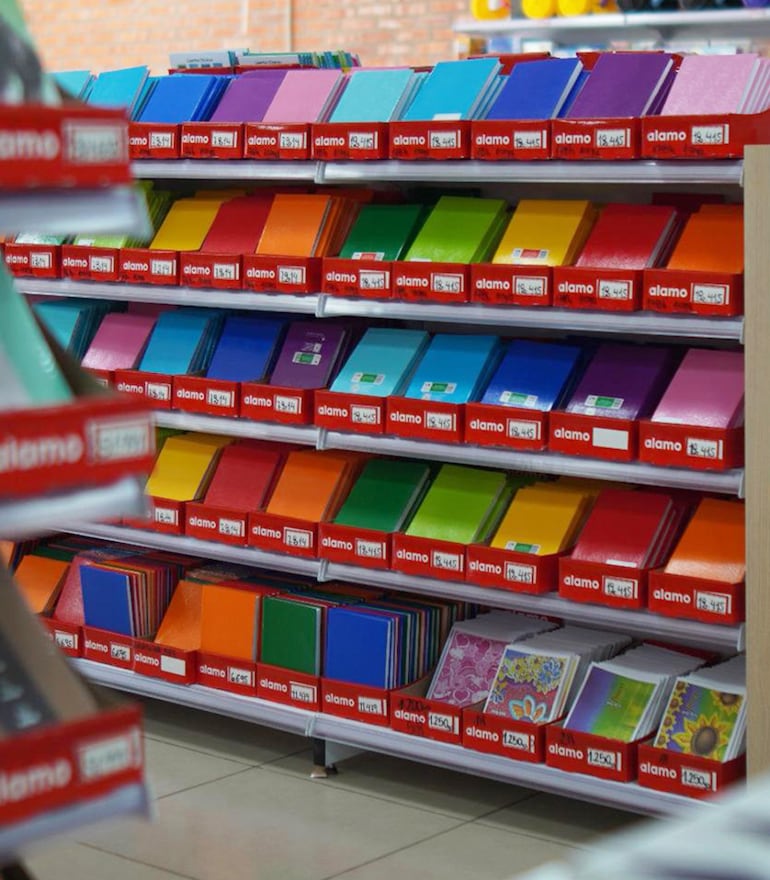 ALAMO logró expandir su alcance, diversificar su portafolio y fortalecer su estructura organizacional.